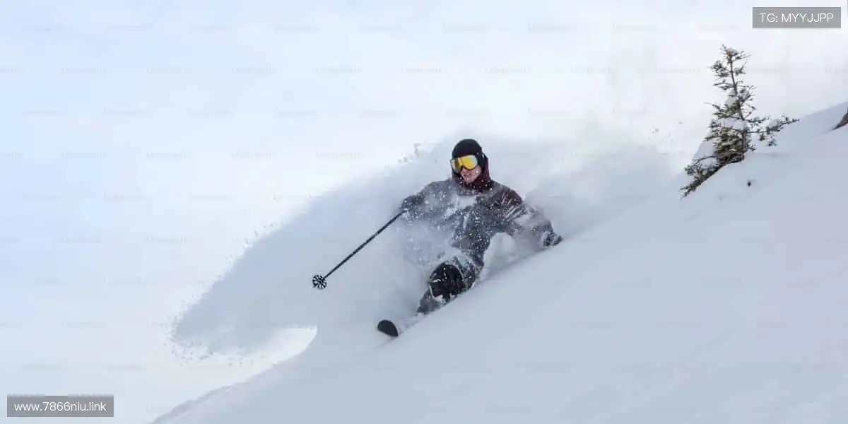 📺高清直播零时差！⚽️ 一键开启沉浸式观赛体验！